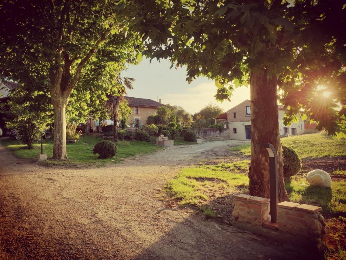 Domaine Des Jammetous - Hotel And Yoga Retreat Center La Magdelaine-Sur-Tarn Exteriör bild